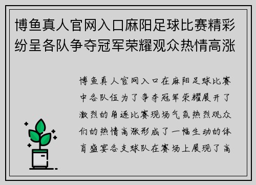 博鱼真人官网入口麻阳足球比赛精彩纷呈各队争夺冠军荣耀观众热情高涨